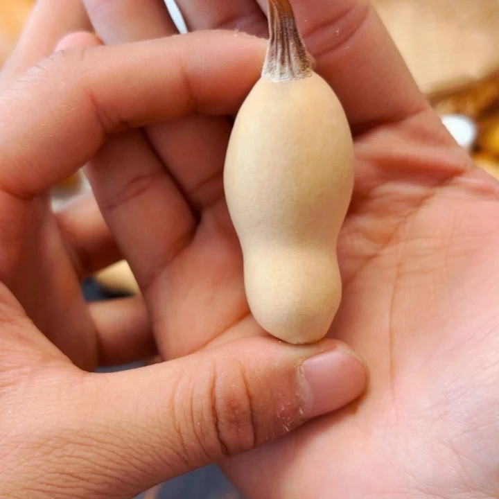 美****人988888888888888888888