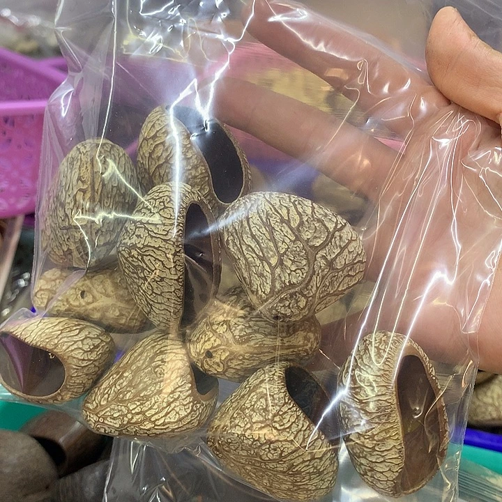 我***作千眼菩提吊坠果壳