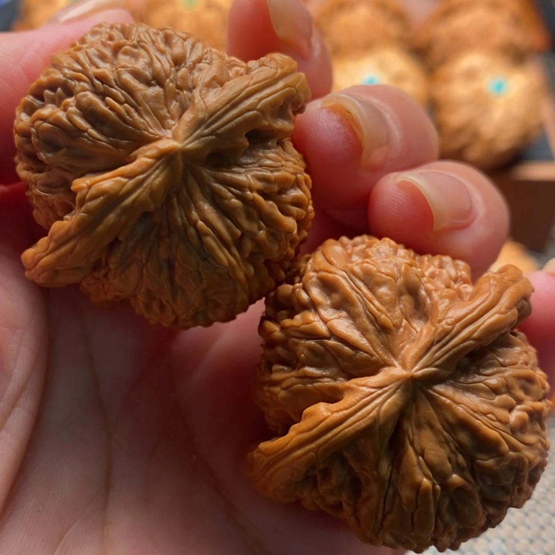 把件文玩核桃41尺白狮子