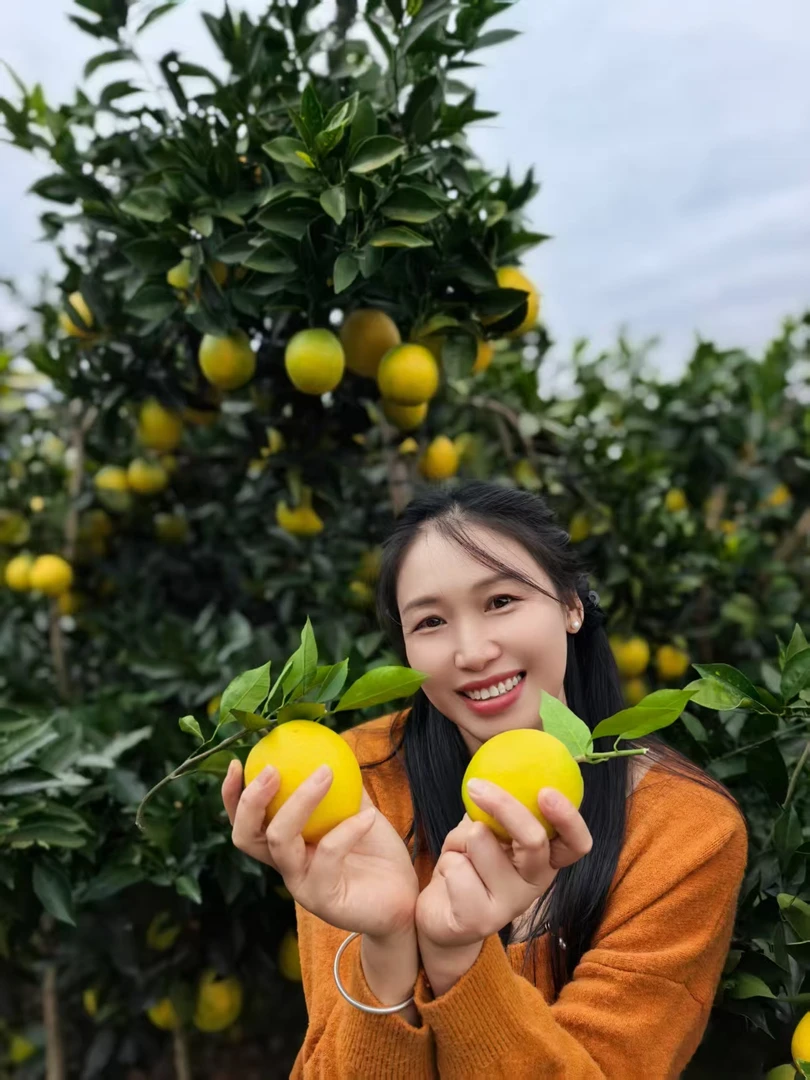 正宗江西赣南脐橙新鲜现摘应季水果皮薄多汁香甜爆汁赣州直发包邮