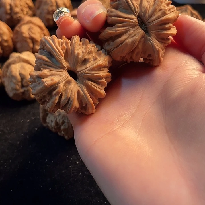 大叶紫檀（黑酸枝木类）