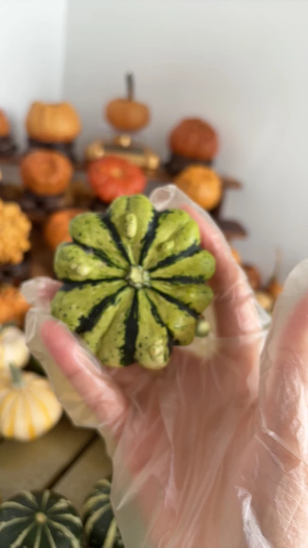 （青皮）墨西哥葫芦