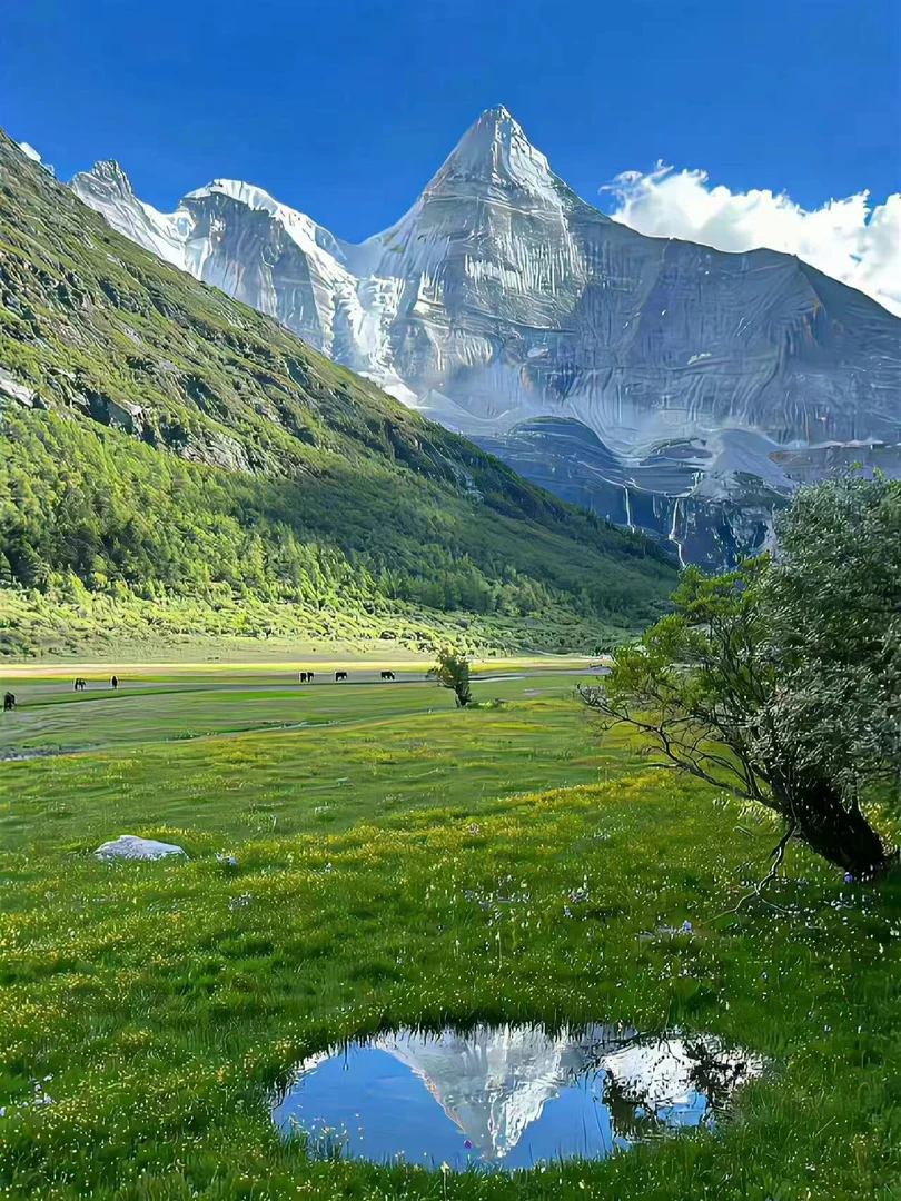 【张总专属】2025男女高奢高定新款复古棉服外套-0161