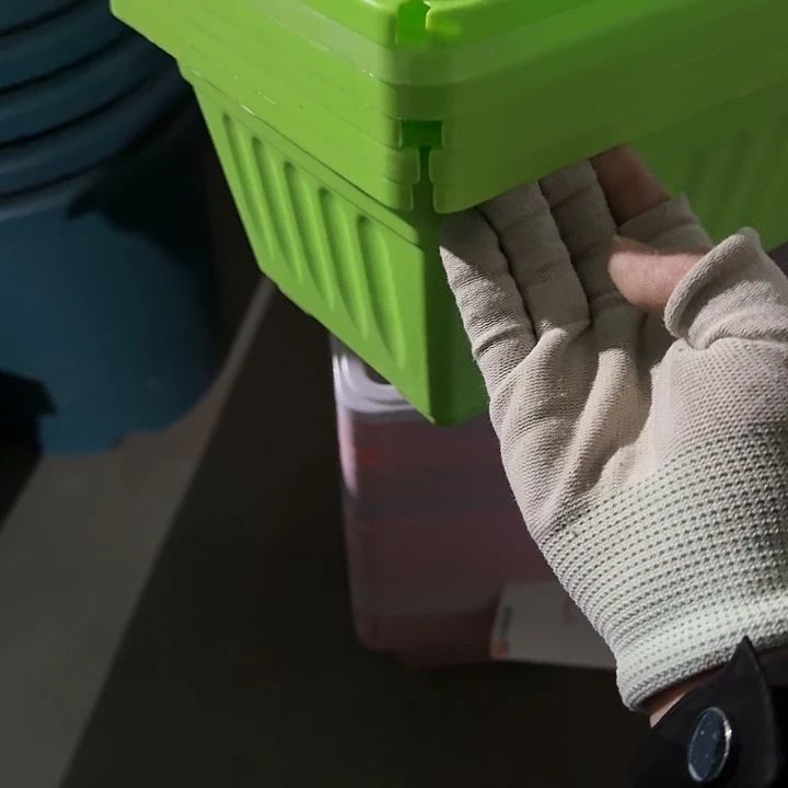 缺口菜盆49长随机6个无托