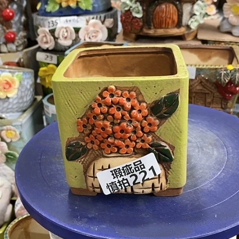 【闪购商品】红陶221
