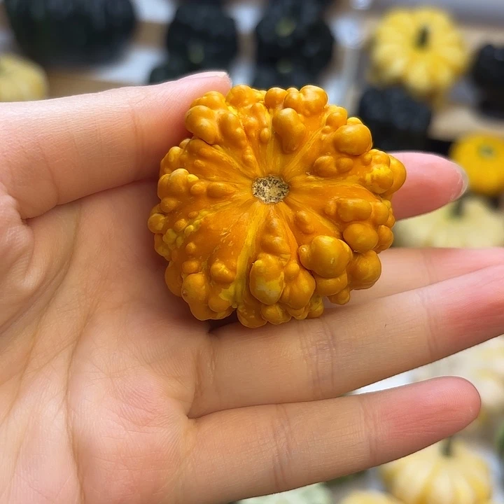 ?****?叶子叶子叶子叶子