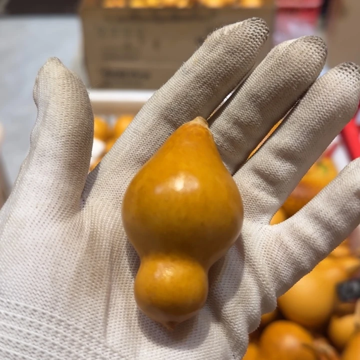 阿*丁哈哈哈哈哈哈哈哈哈哈哈