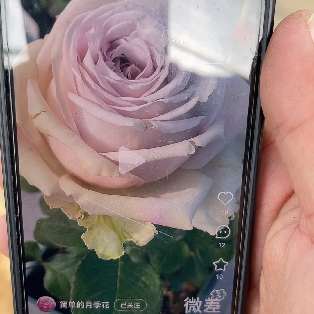 无花朵———-微差 福利款