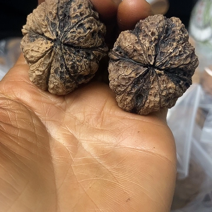 把件文玩核桃云南铁核桃基地67