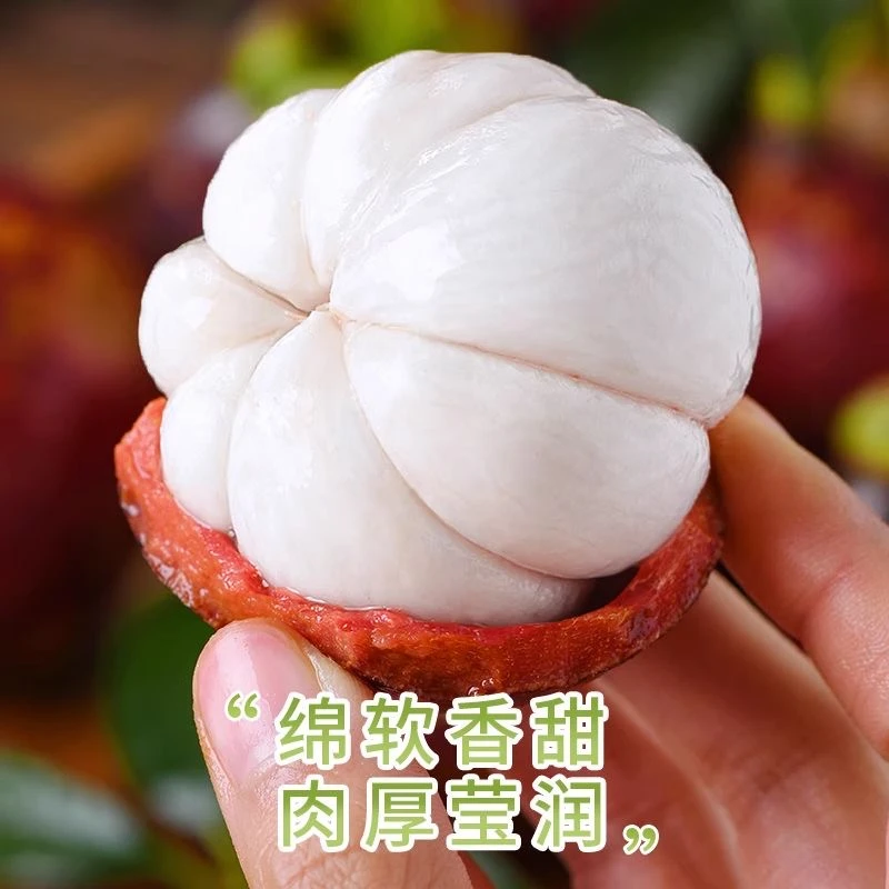 【果瑞浓】泰国进口山竹大果1000g