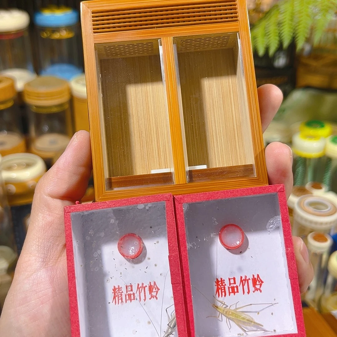 蟋蟀双格竹蛉盒+黑紫竹+柬埔寨