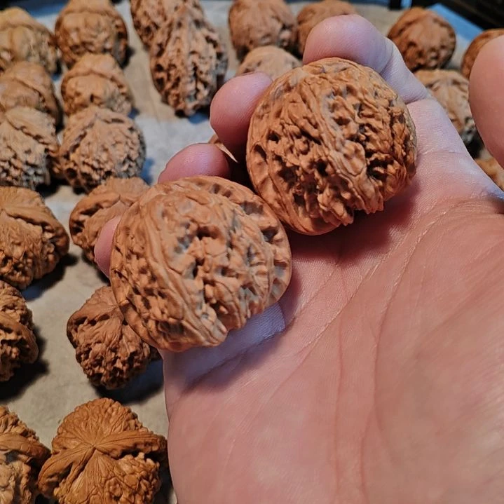 文玩核桃手串白狮子