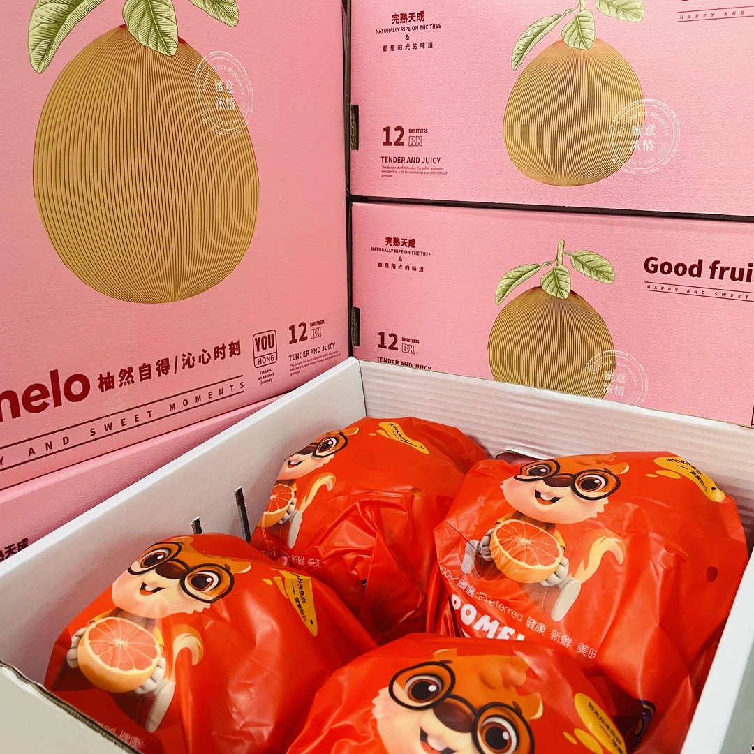 柚小红 平和红心蜜柚 礼盒装 4颗净重9斤左右