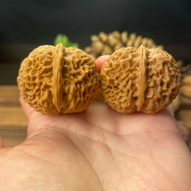 39尺寸  蚂蚁纹元宝（云南铁核桃一物一图产地直发）