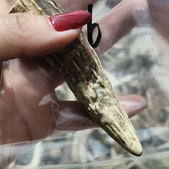 大***海铁合金花岗石鹿角鹿角鹿角鹿角鹿角鹿角
