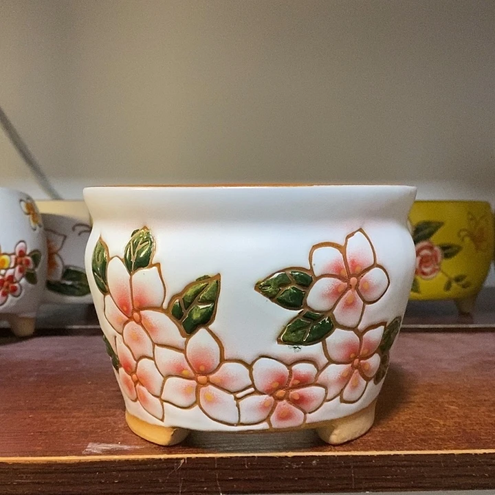 韩式多肉植物花盆