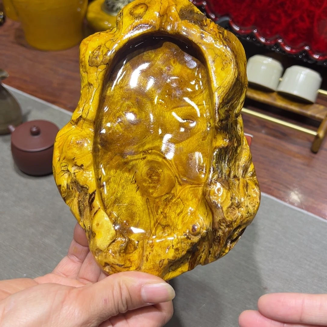 黄金樟88888888867888