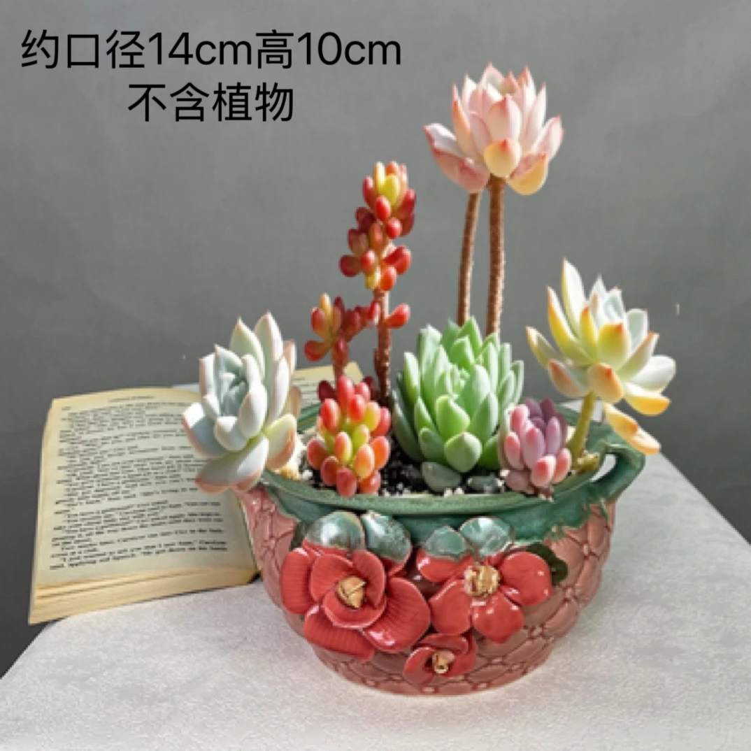 大口径透气多肉花盆老桩肉适合办公家用绿植盆栽