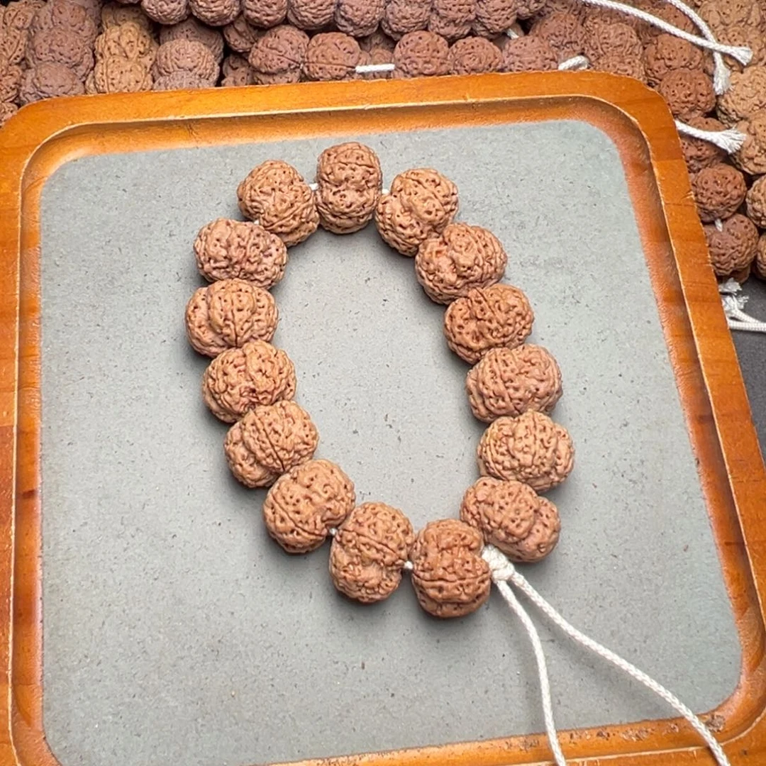 菩提19号金刚菩提梅花24