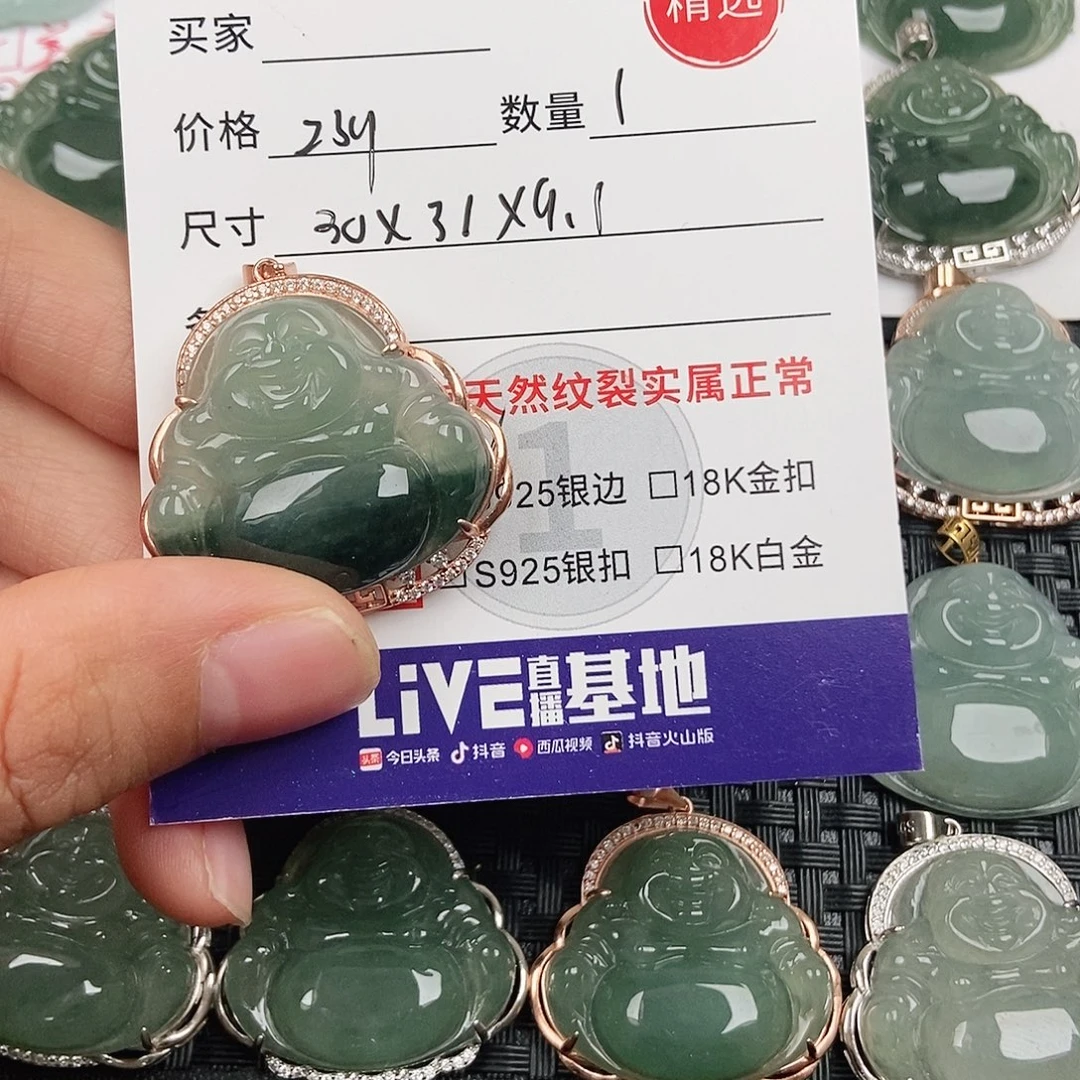 翡翠银S925镶嵌颈饰
