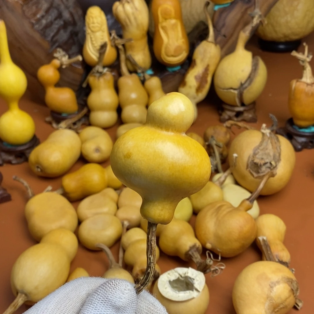 大***城教练教练咯教练阿拉