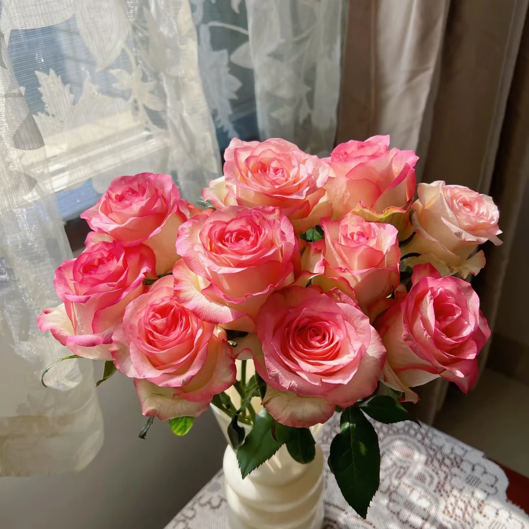 【玫瑰】东北鲜花 辽宁朝阳凌源地产小玫瑰鲜切花 水养插瓶