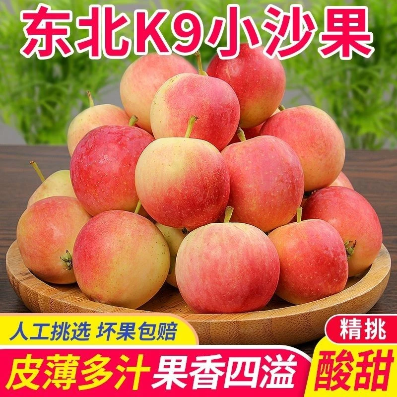东北K9沙果小苹果当季酸甜脆当季孕妇水果海棠果整箱包邮果园现摘