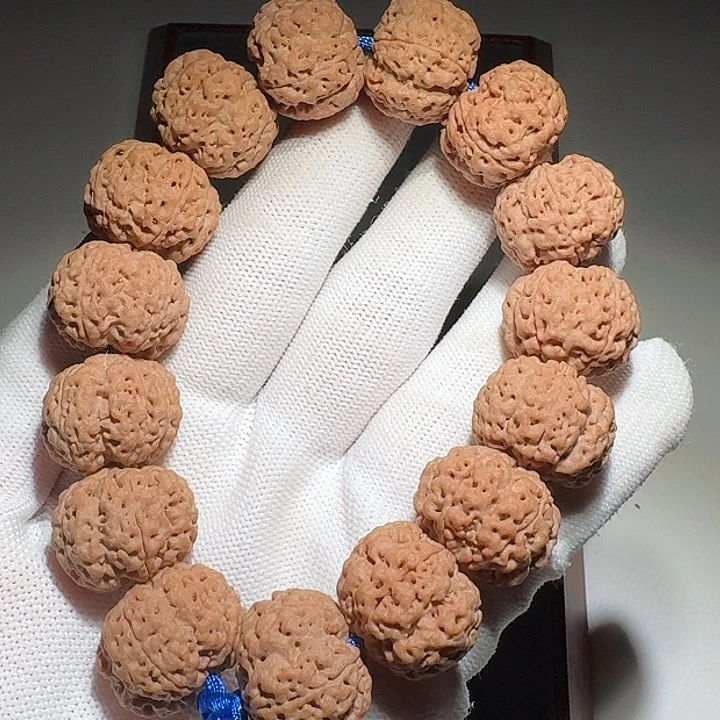 凉***透金刚菩提吊坠铁龙21