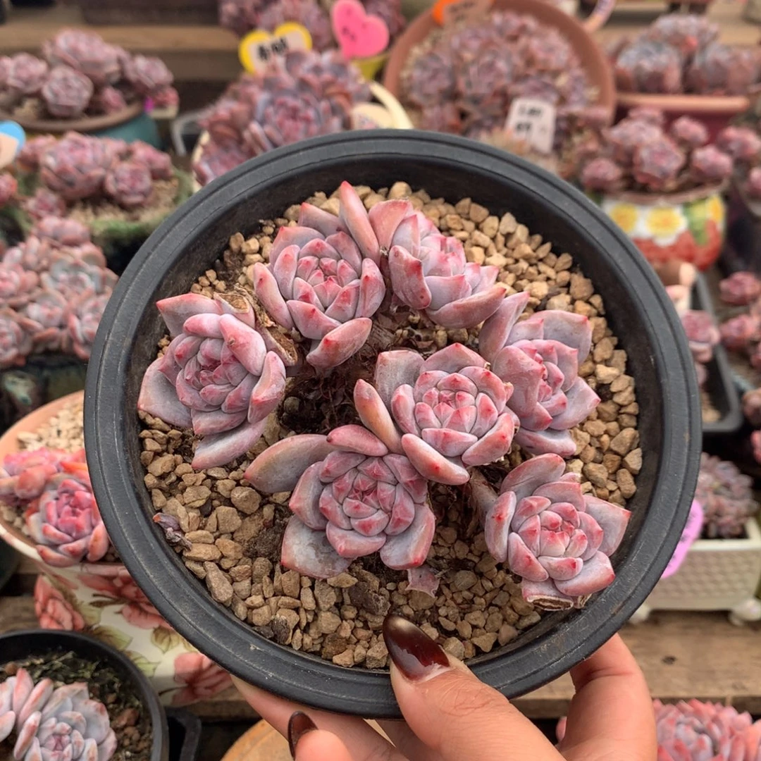 哈哈哈哈哈哈哈哈哈