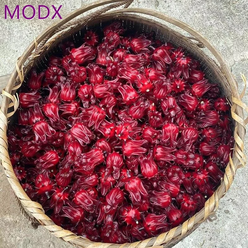 武夷山农家自种整朵洛神花玫瑰茄红桃K花茶花干女神水果茶泡酒70g