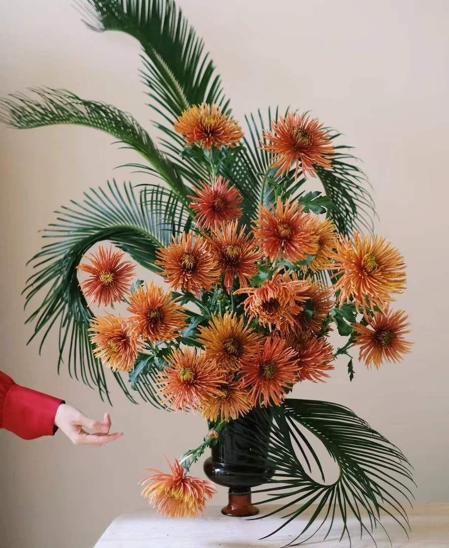 【烟花菊+铁树叶】龙飞凤舞年宵花  套餐组合