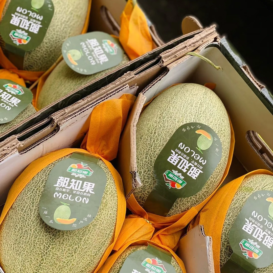 脆甜哈密瓜小蜜一份