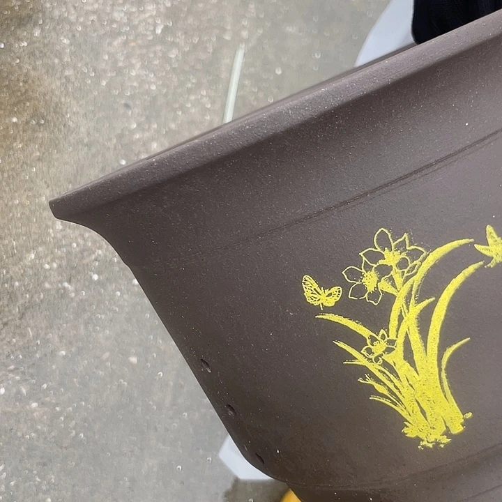 印金大话话哦话话努阿不啊