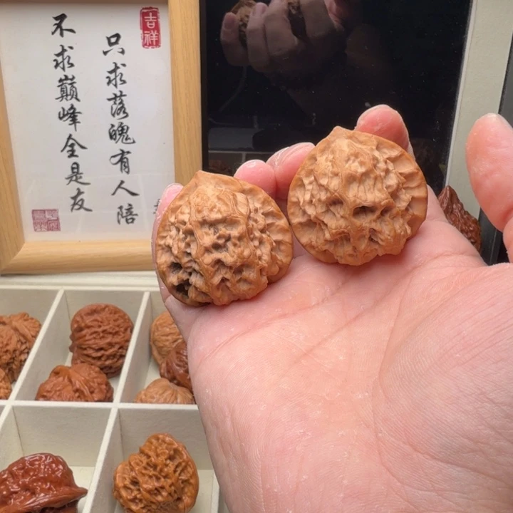 40尺正版梨木台狮子头