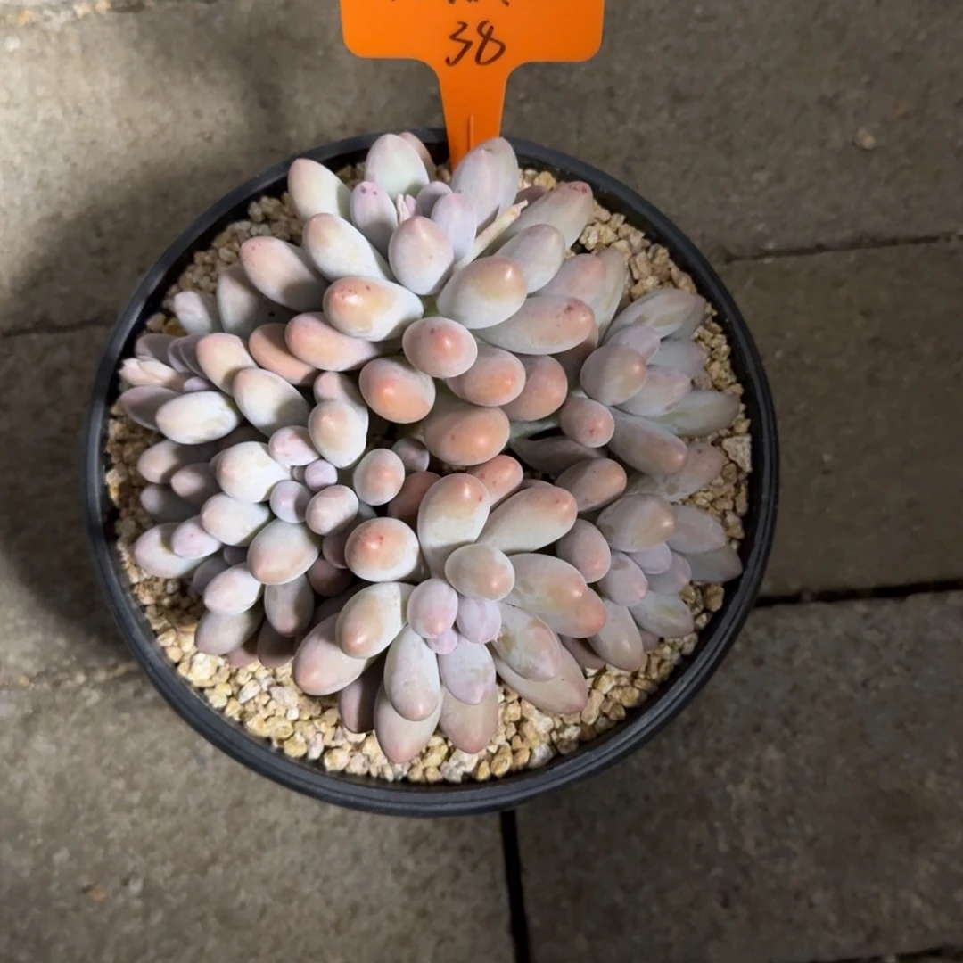 111111111111111111111