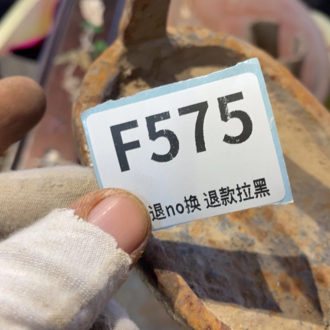 用***3瓷片表弟链接火爆热卖热卖