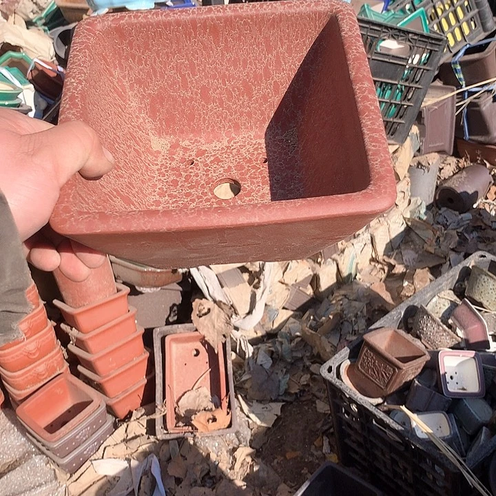 紫砂优秀青年科技人才创新人才