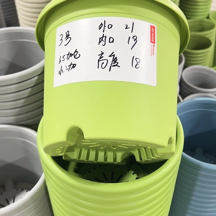 特价3号四季口21高18果绿无托10只