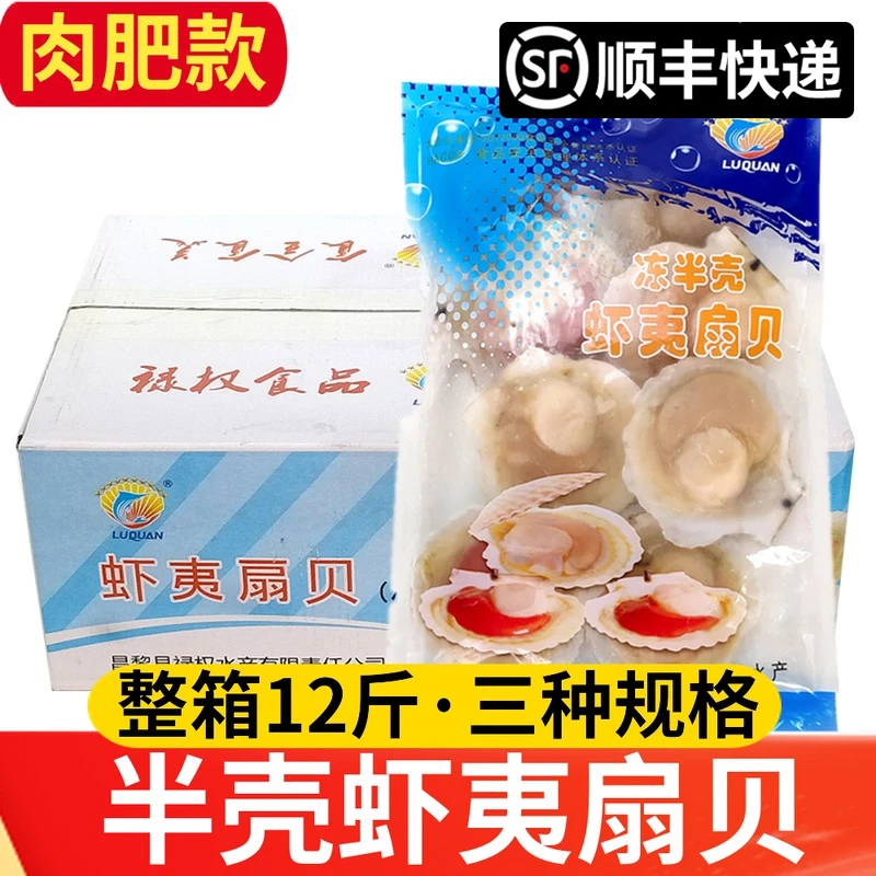 冷冻半壳扇贝大扇贝新鲜带壳夏夷贝烧烤半成品海鲜6kg批发商用