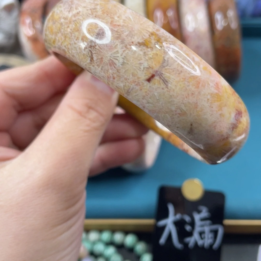 未镶嵌手镯硅化玉