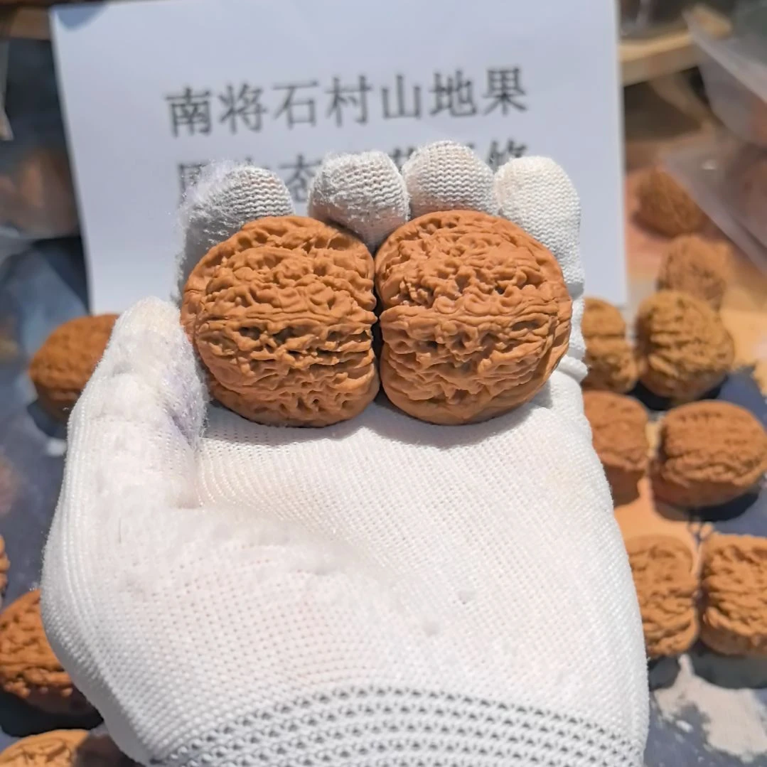 李***远涛子南将石直播拍