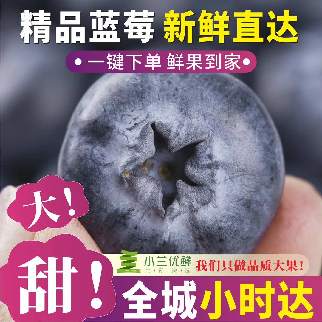 小兰优鲜蓝莓125g