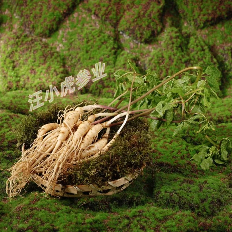 东北吉林延边鲜人参榨汁、泡酒、煲汤、炒食、涮火锅等滋补养生5颗/盒