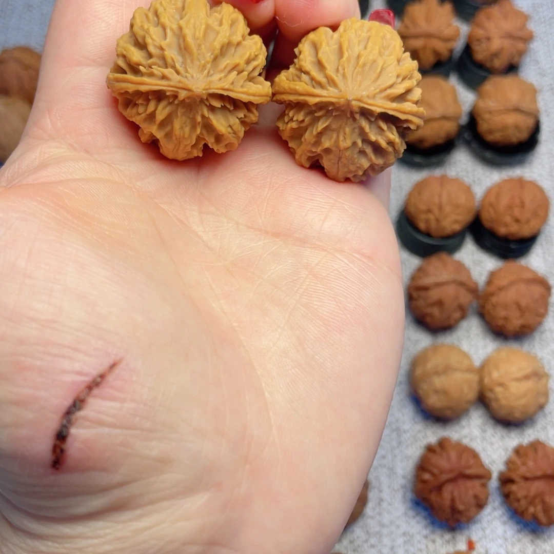 文玩核桃把件龙头琥珀