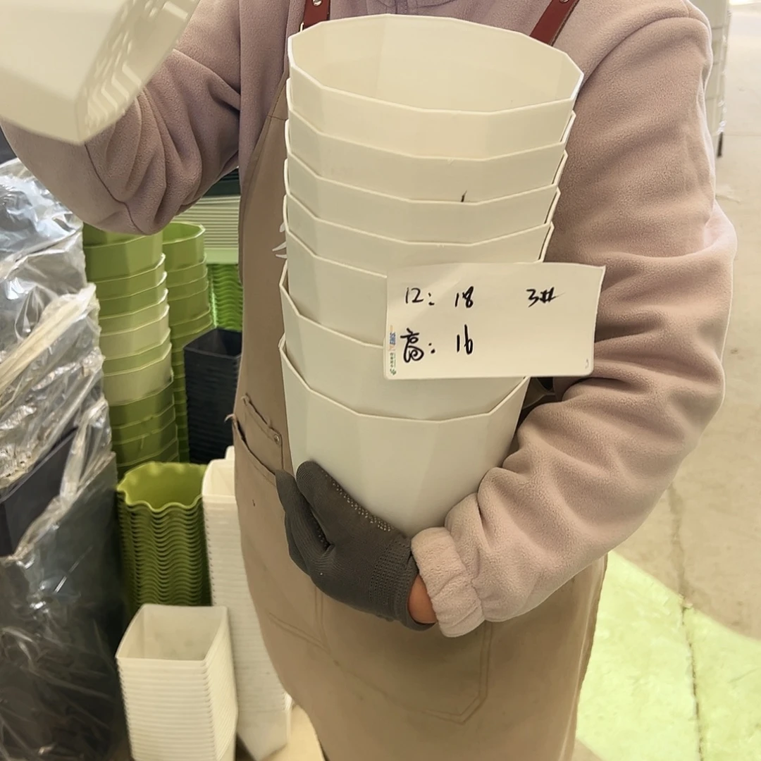 瑕疵雅典3#白色8个无托