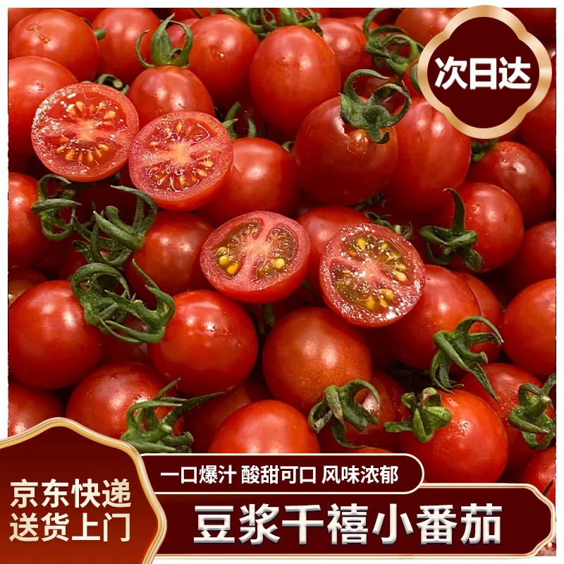 广东电白千禧圣女果2.5斤装