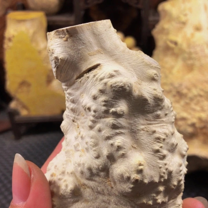 木原*木料木料木料木料