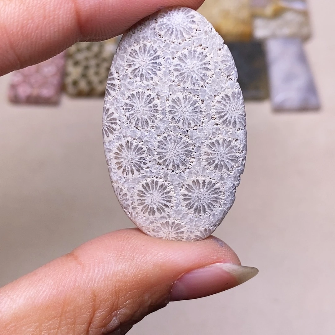 嗯***`硅化玉合金珊瑚玉