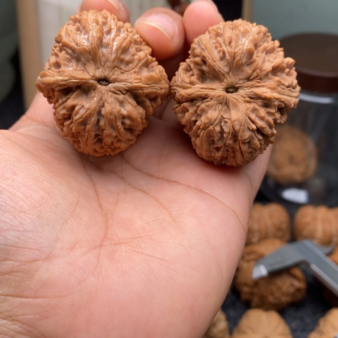 文玩核桃把件37大蒜头