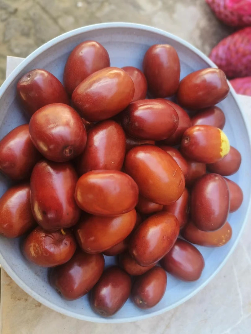 2025山西临县红枣脆枣黄河滩枣木枣（酸甜口感）百年老树红枣